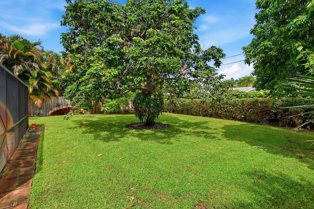 Yard