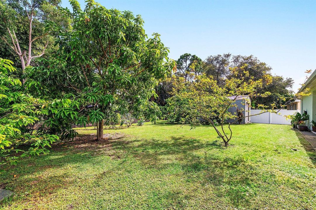 Fruit Trees