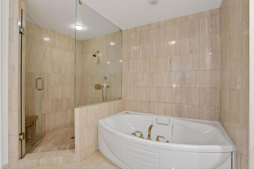 Primary Shower & Jacuzzi Tub
