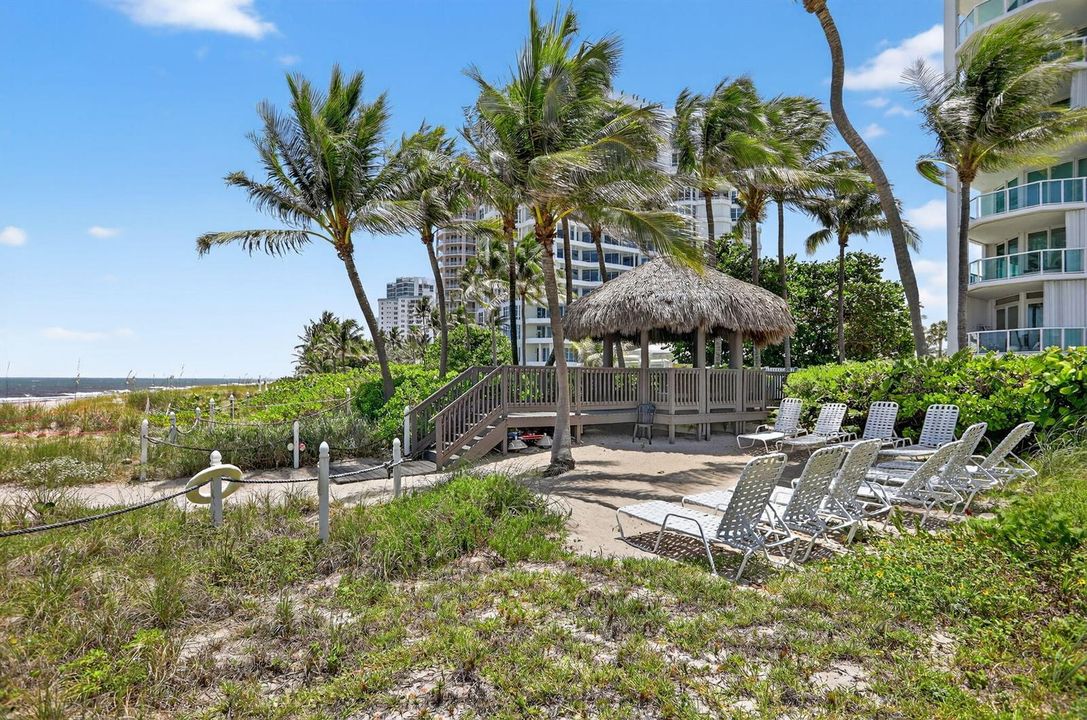 Lots of Beach Chairs