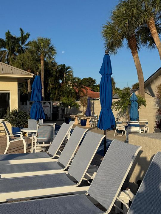 Pool deck area