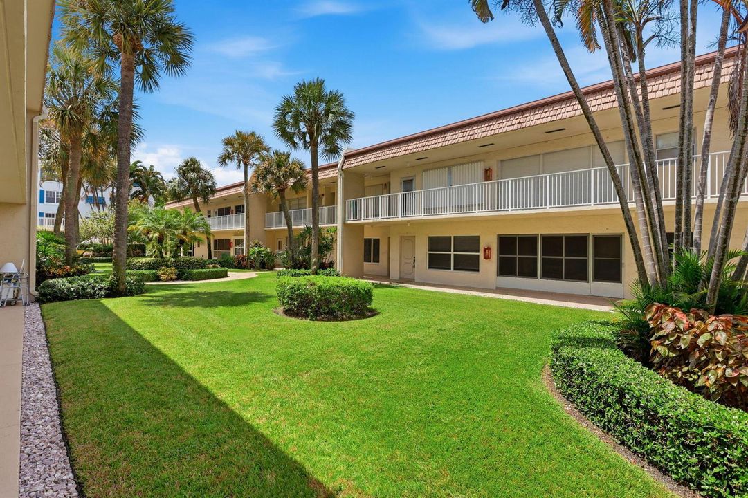 Your courtyard view