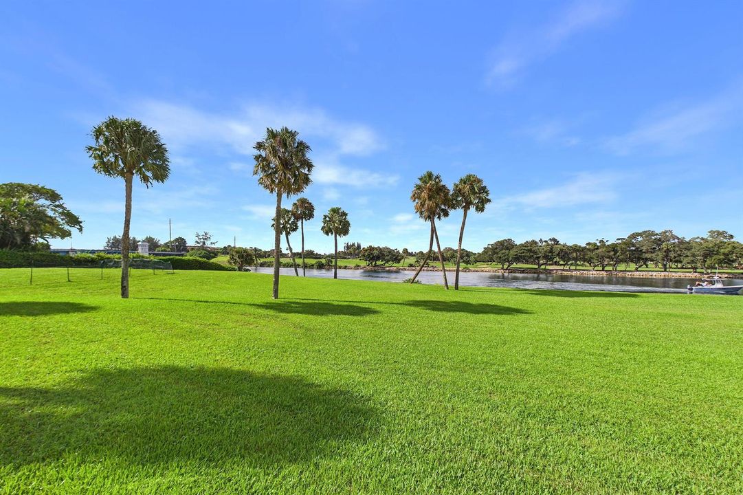 Open Lawn Area