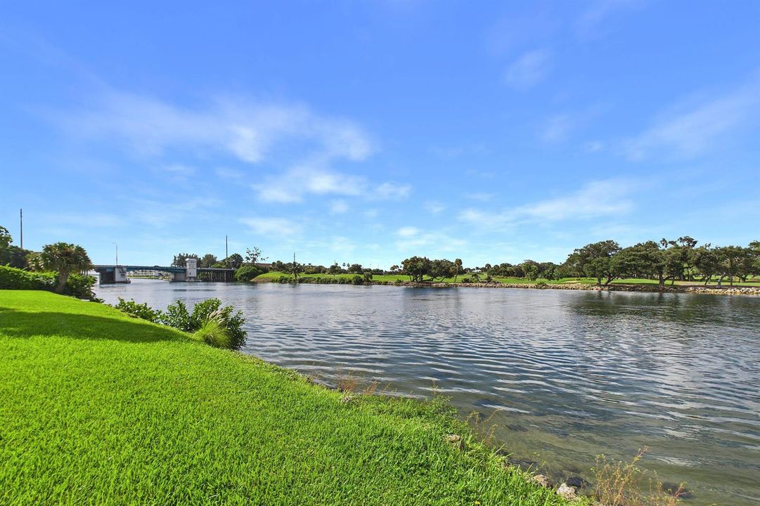 Water Views