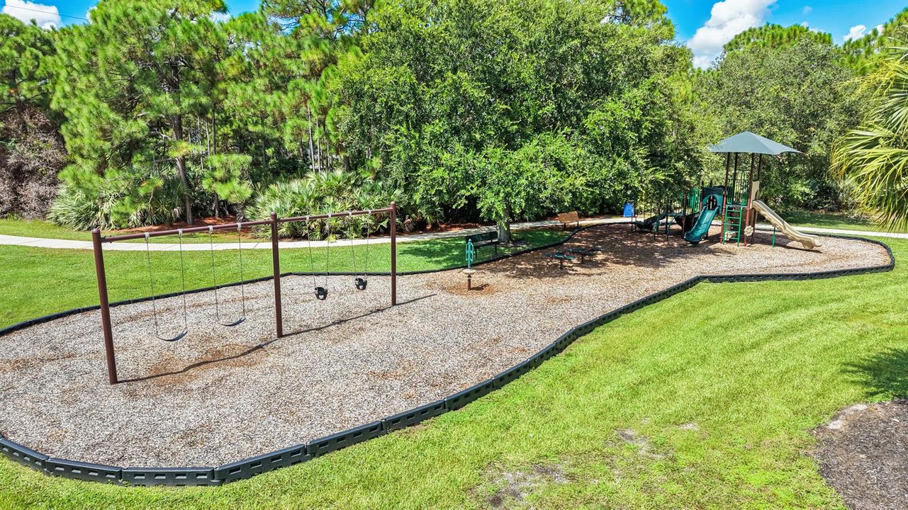 56_palm city + bald eagle + playground 0