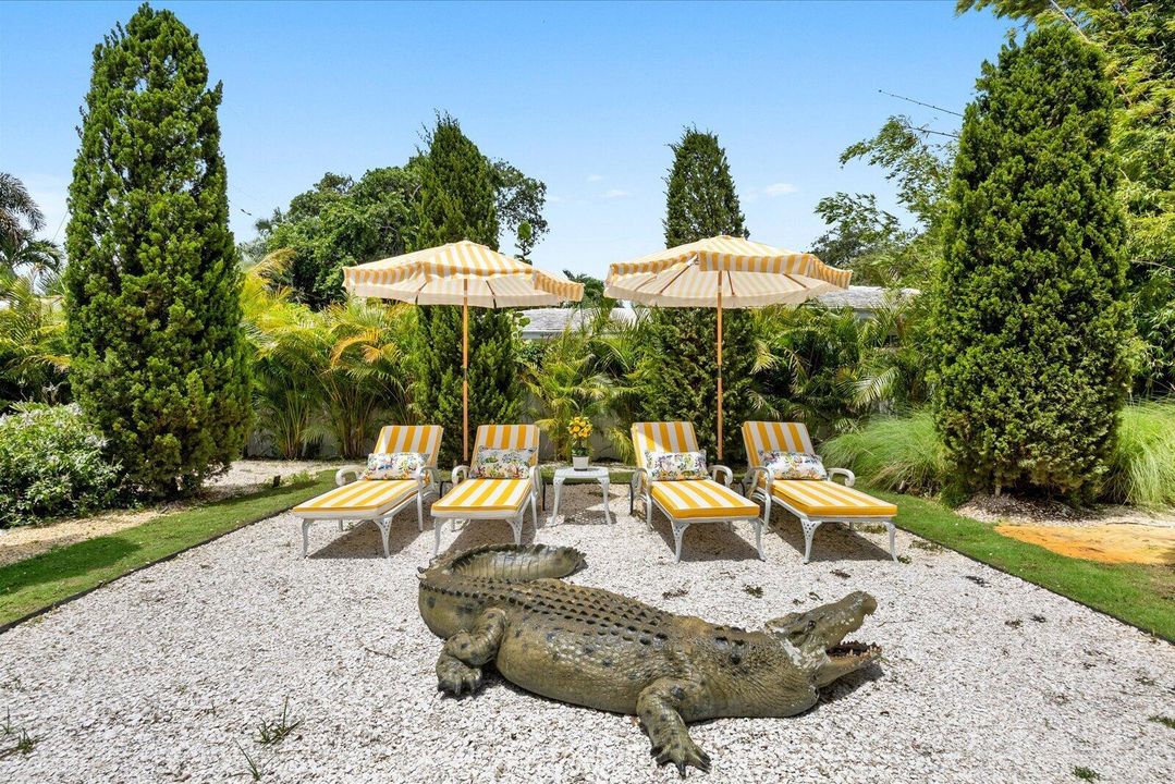 Outdoor Lounging