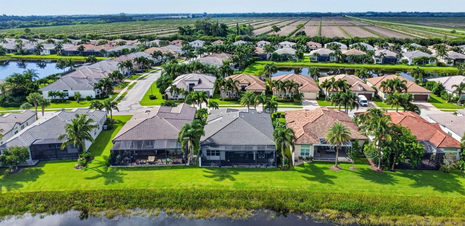 89-web-or-mls-DJI_0881
