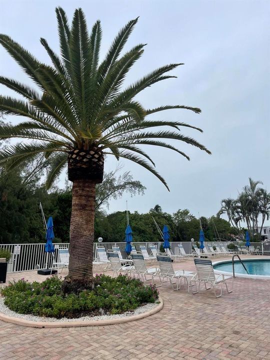 IMG_3717