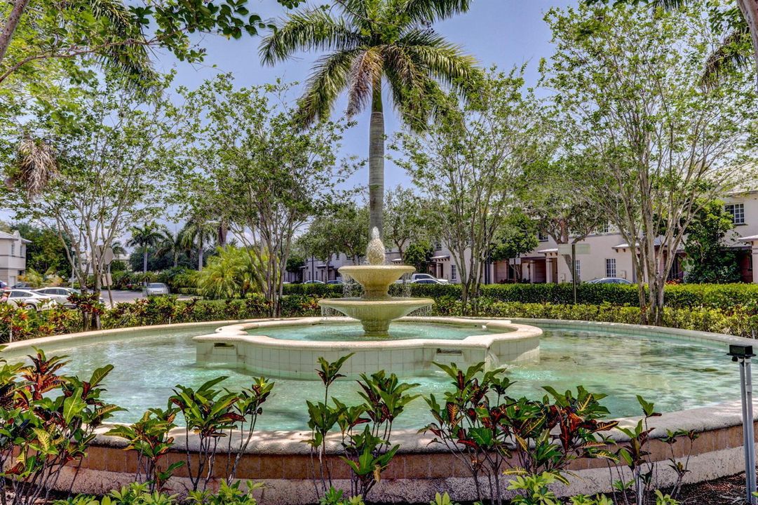 Water Fountain