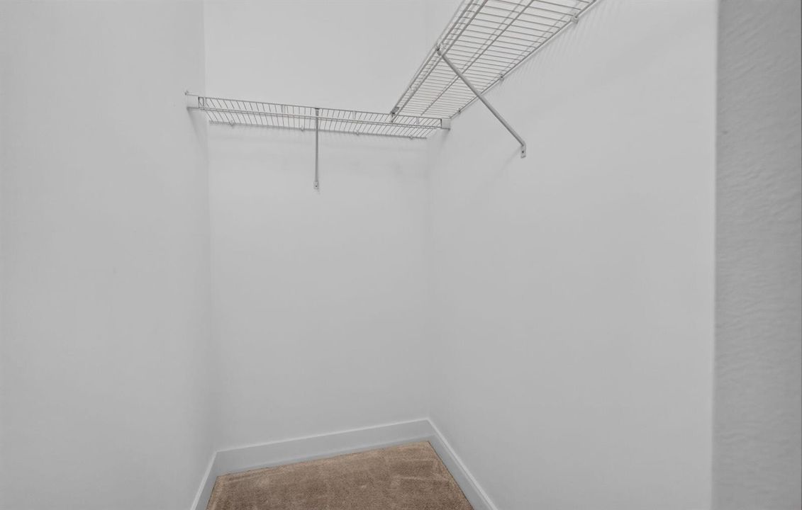 56-web-or-mls-5D1A5596