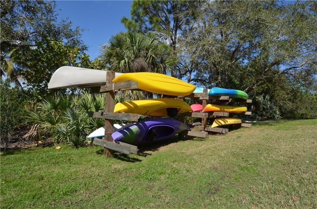 palmcovekayak