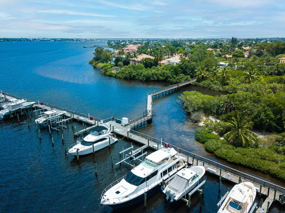 Palm Cove Marina 2024-10