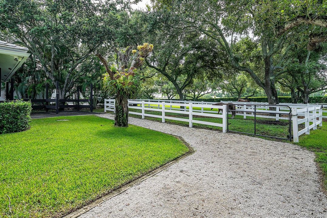 Driveway & Paddock