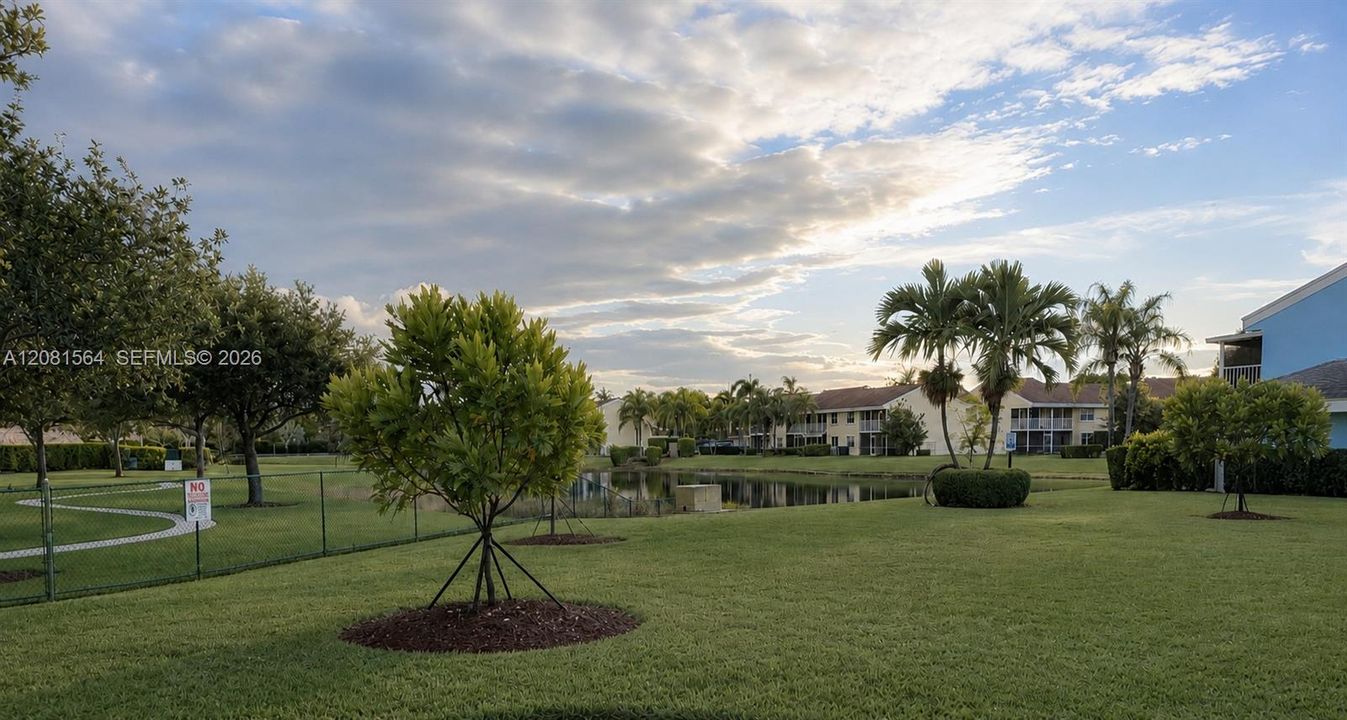 View from back patio