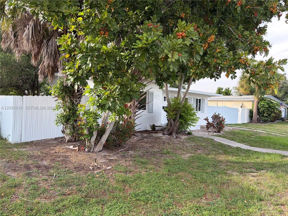 Front yard