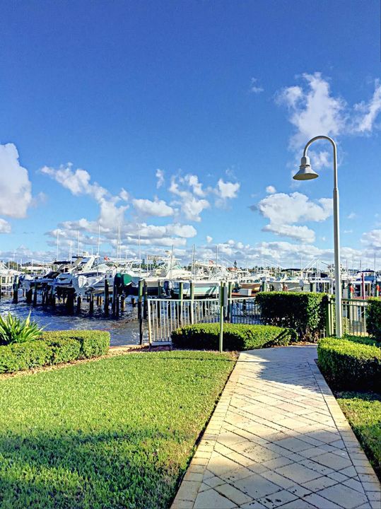 Yacht Club Marina