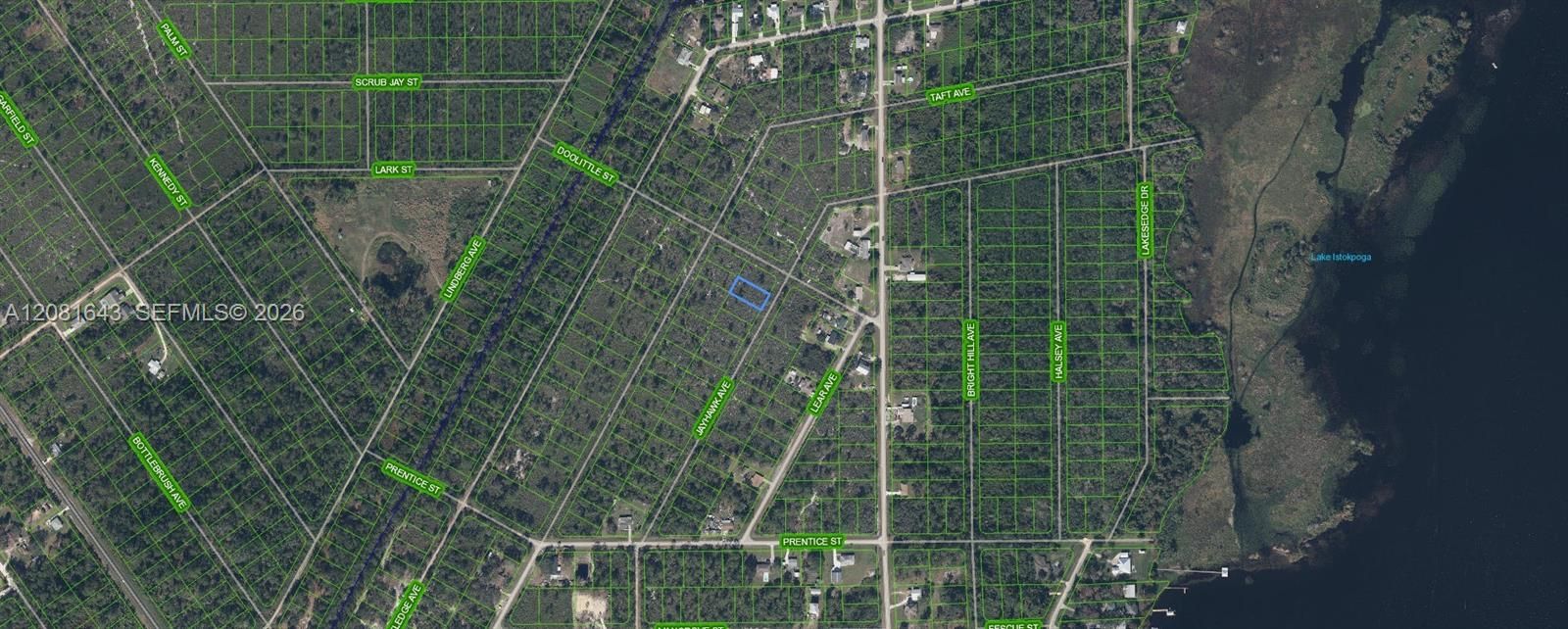 На продажу: $9,900 (0.25 acres)