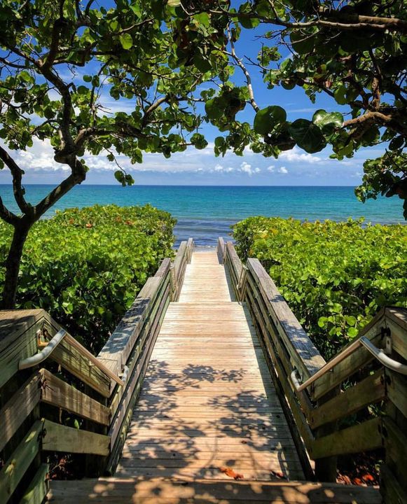 Tropical Beaches