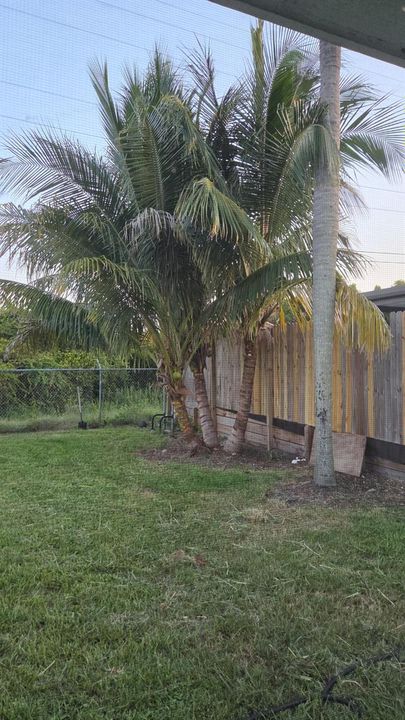 IMG-20260817-WA0069