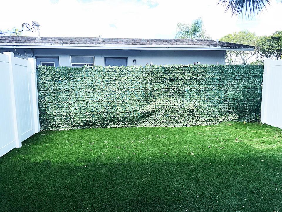 backyard01