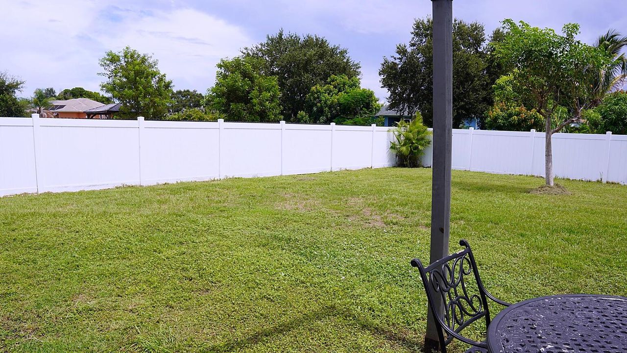 exterior-backyard