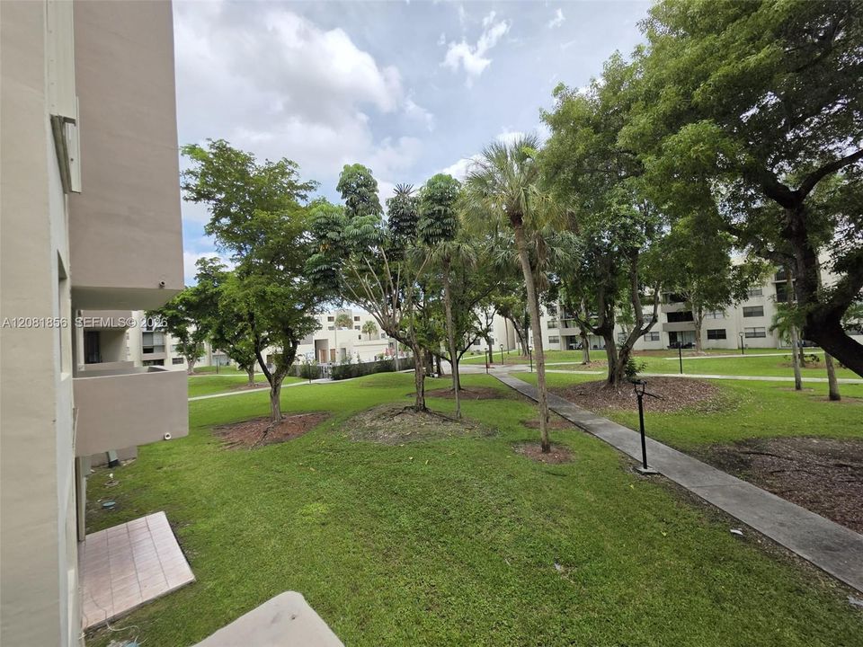 Inside garden