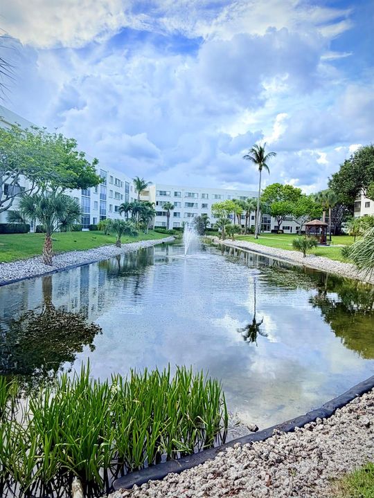 Pond Next to Pool and Courtyard