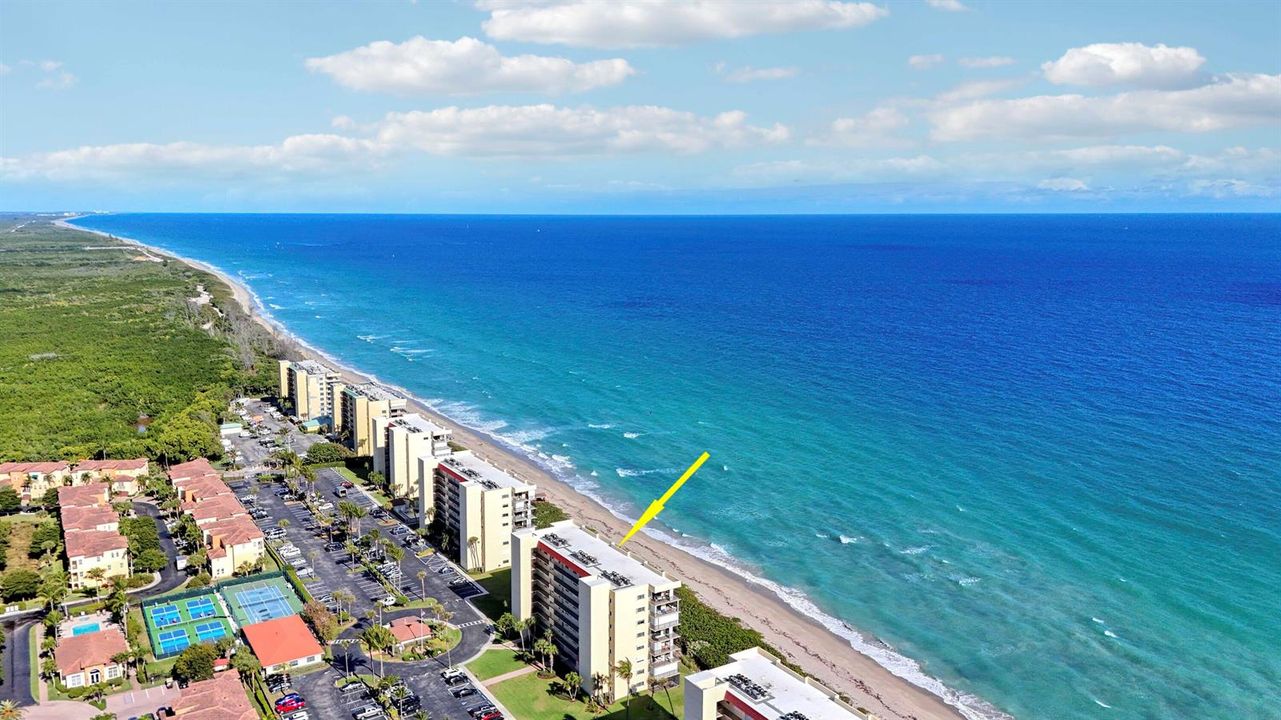 Aerials-10 copy