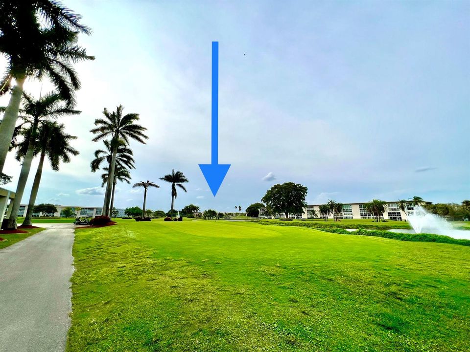 61 WYNMOOR PUTTING GREEN