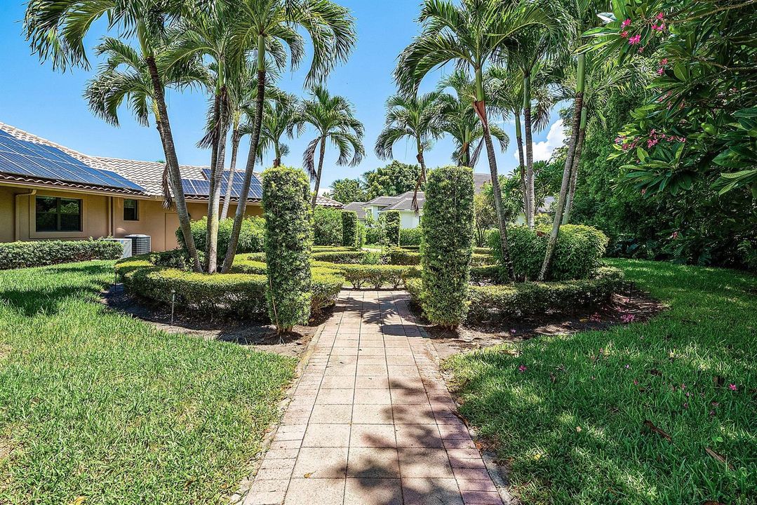 Stunning garden