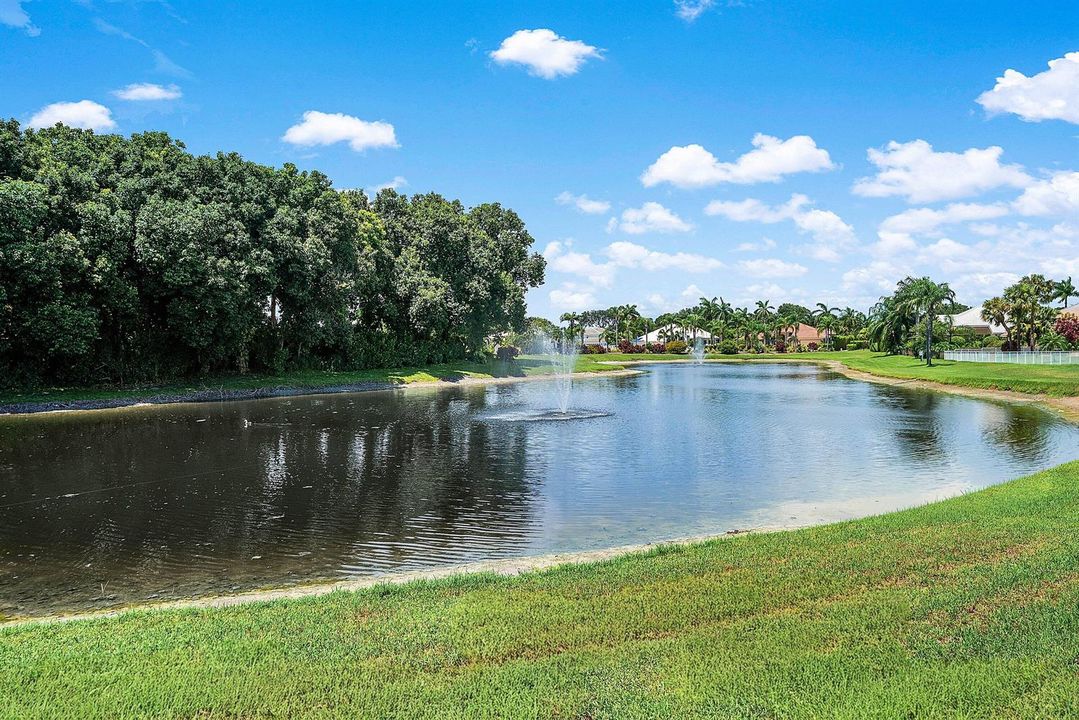 Lake view