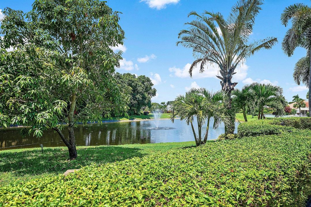 Lake view