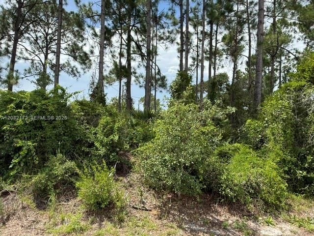На продажу: $25,000 (0.23 acres)