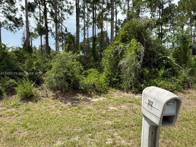 На продажу: $25,000 (0.23 acres)