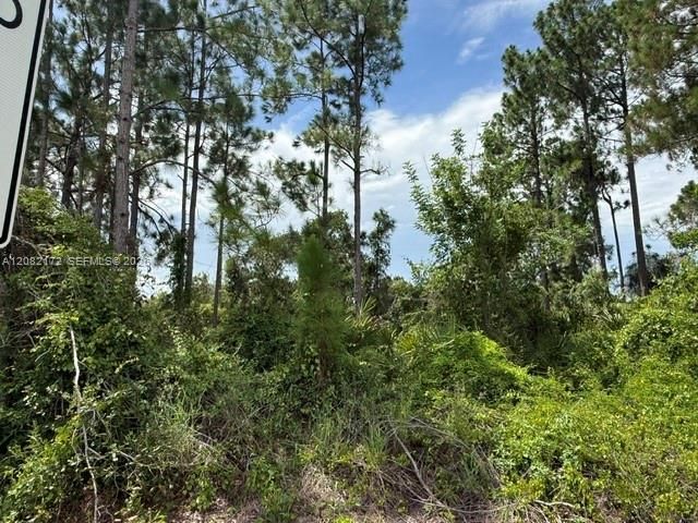 На продажу: $25,000 (0.23 acres)
