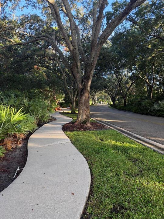 Paths throughout