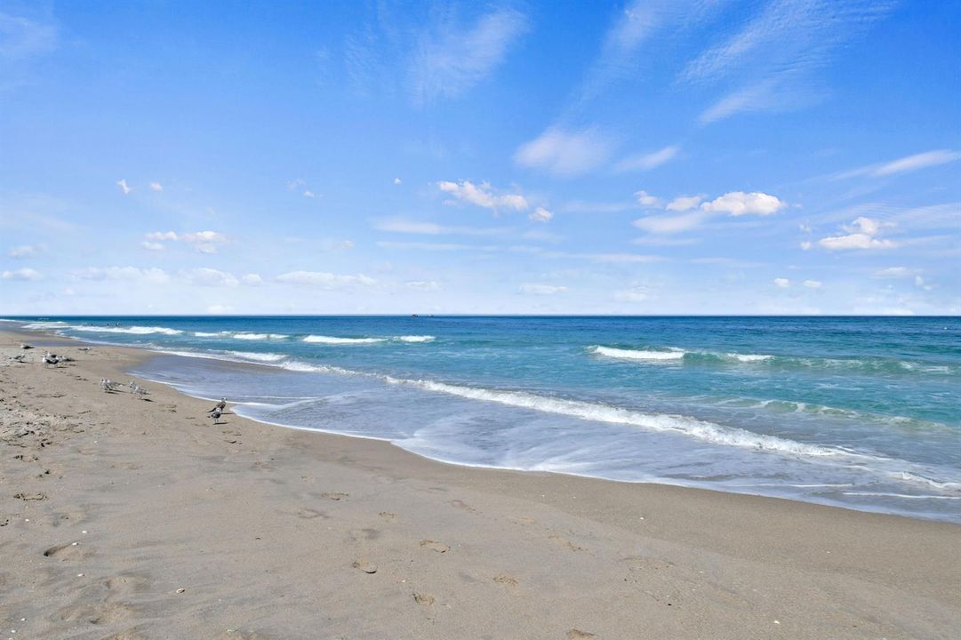 The Atlantic Ocean
