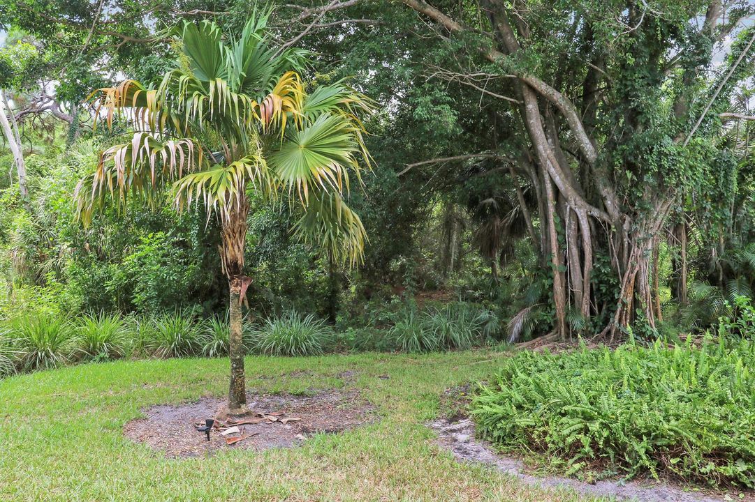 Side Yard