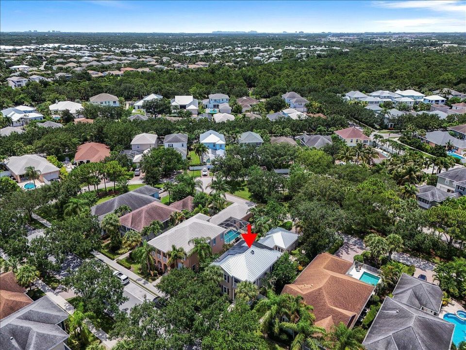 Aerial View of the Community