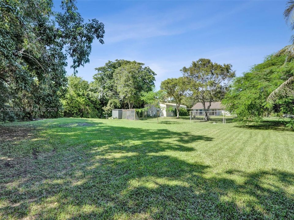 Expansive backyard featuring a manicured lawn, mature trees, and perimeter vegetation