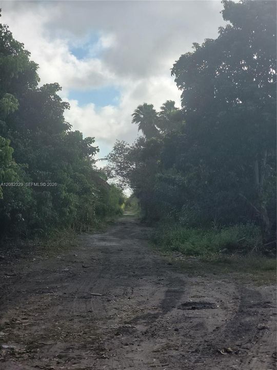 For Sale: $290,000 (4.77 acres)