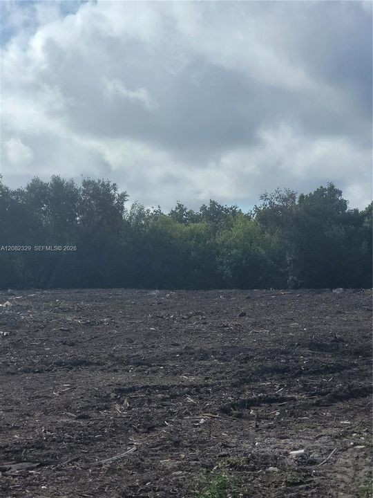 For Sale: $290,000 (4.77 acres)