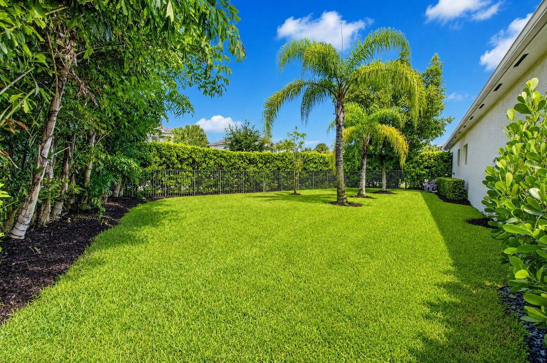 Side Yard