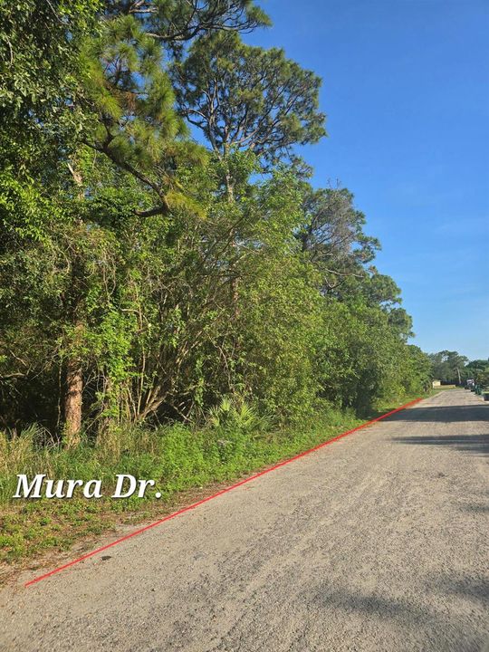 Mura Drive