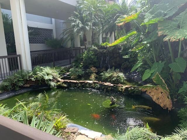 Koi Pond