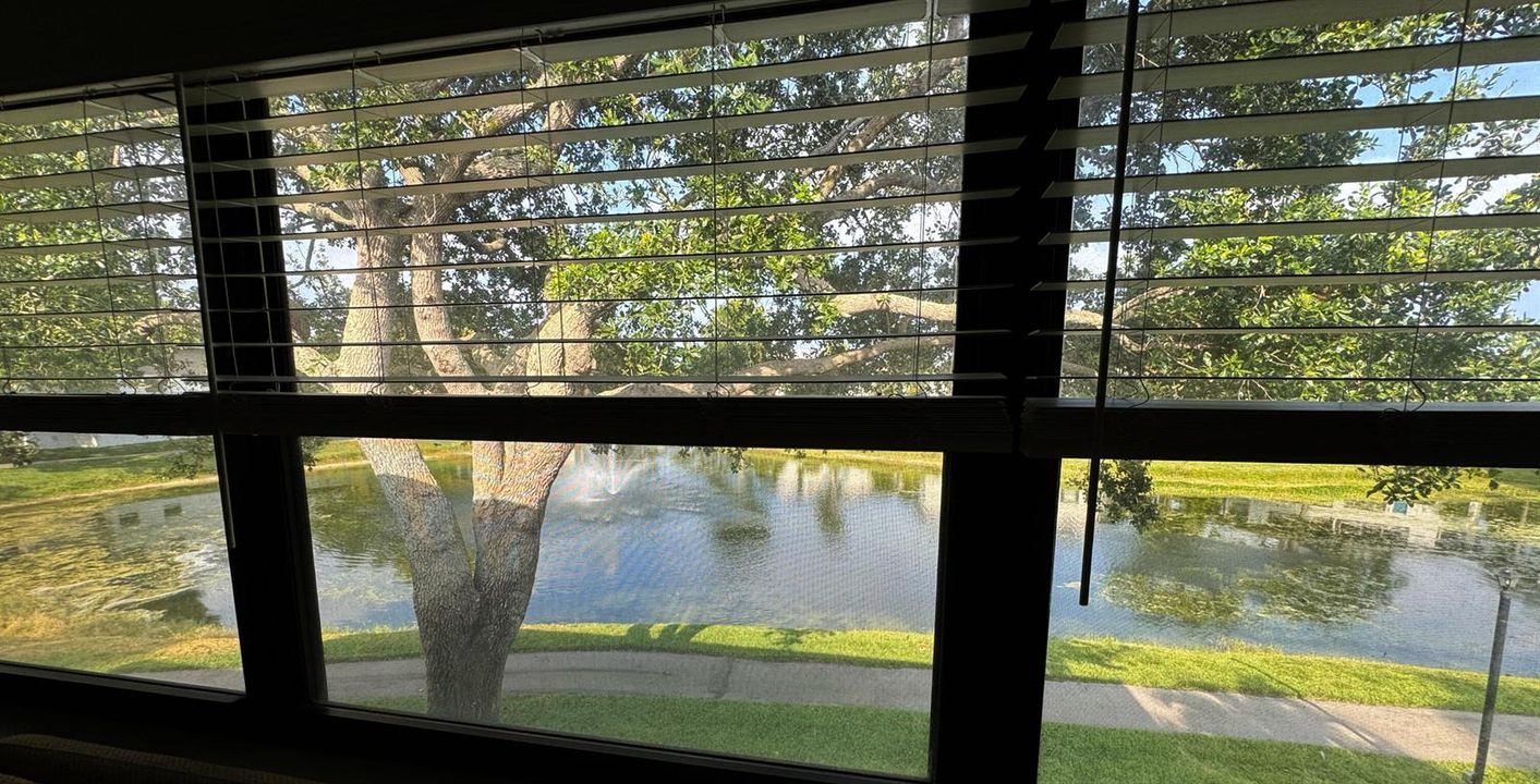 Lake Views