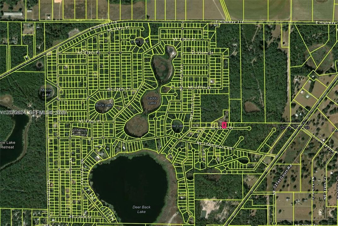 待售: $6,990 (0.22 acres)