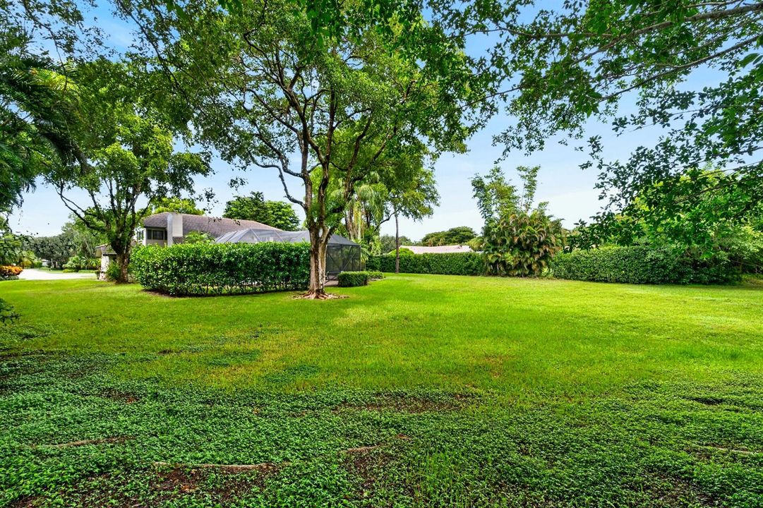 061-046-Side Yard-4000x2666