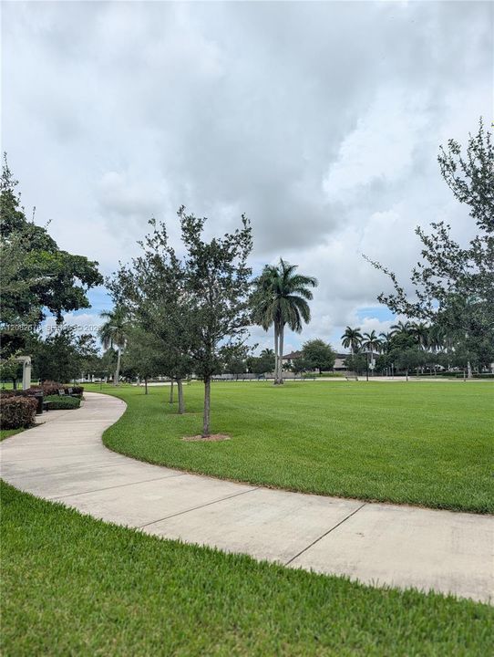 Common Green Area sidewalk
