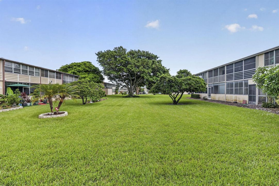 32-web-or-mls-BS1A9423
